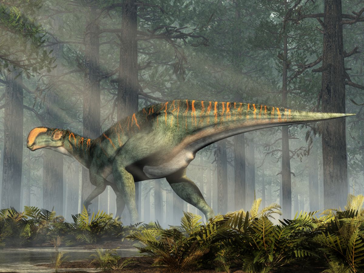 Středně velký býložravý dinosaurus Altirhinus v potemnělém lese zachycený z boku.